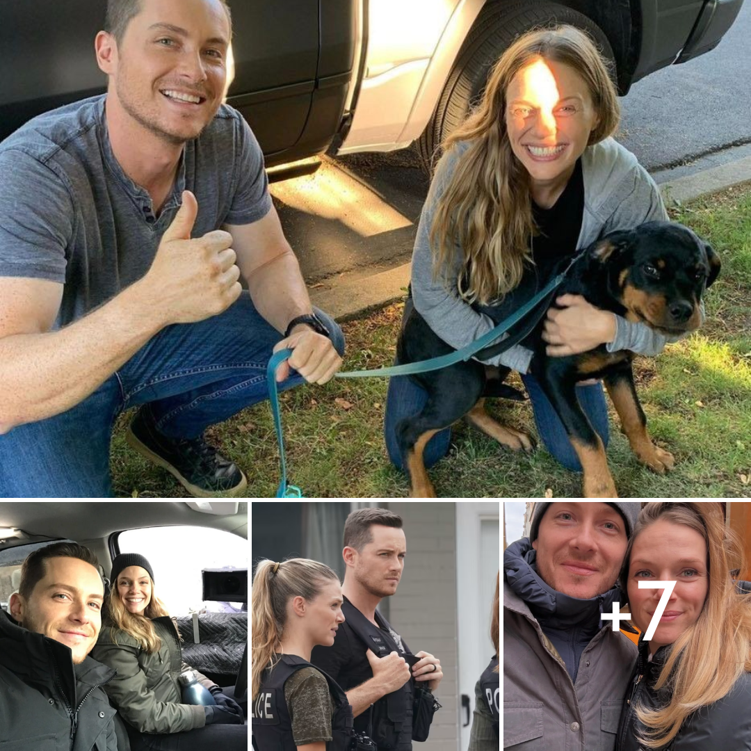 Chicago P.D. Stars Tracy Spiridakos & Jesse Lee Soffer Adopt Rescue Puppy — Meet Sweet Cali!