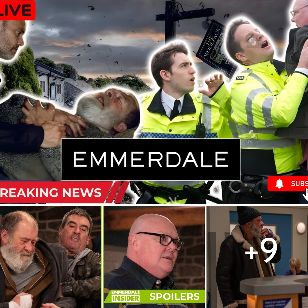 Is This the End for Bear? Paddy Left Heartbroken by Police Update